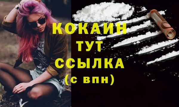 метадон Вяземский