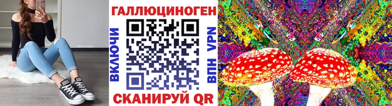 кракен вход Янаул Галлюциногенные грибы Cubensis где купить наркоту